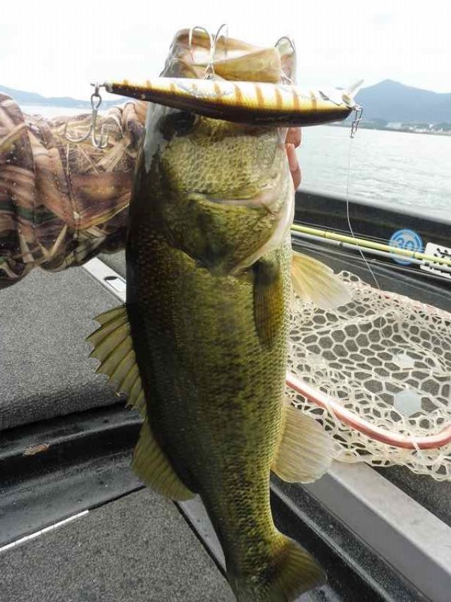 truth okuma ブログ写真 2016/10/11