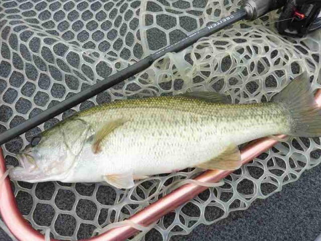 truth okuma ブログ写真 2016/10/11