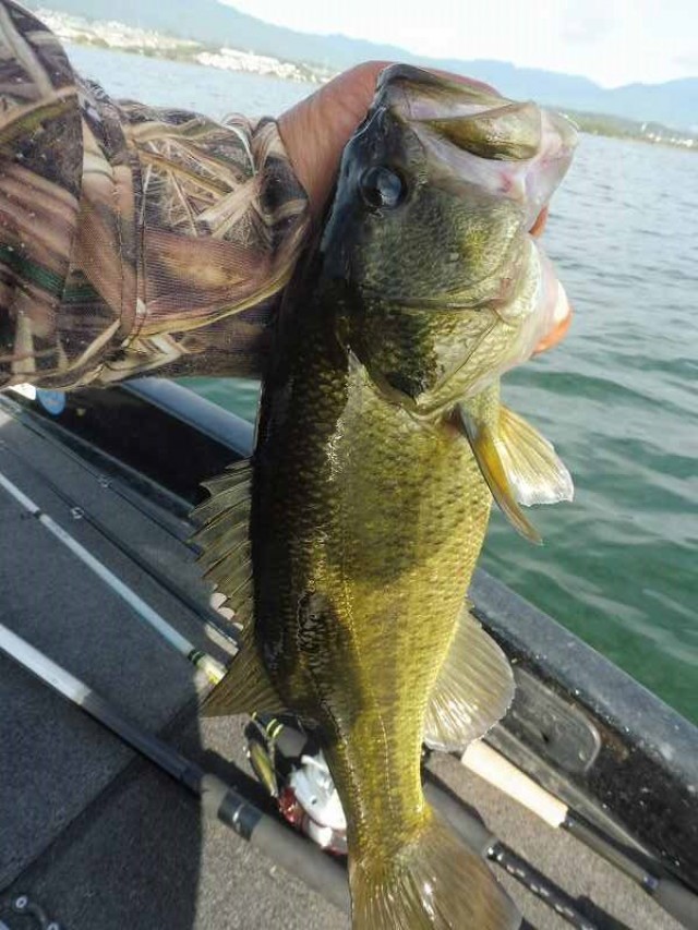 truth okuma ブログ写真 2016/10/11