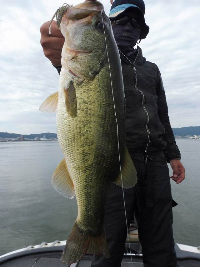 truth okuma ブログ写真 2016/10/11