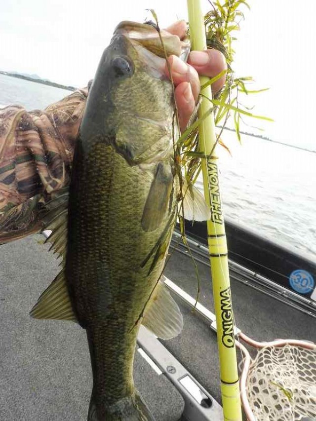 truth okuma ブログ写真 2016/10/11