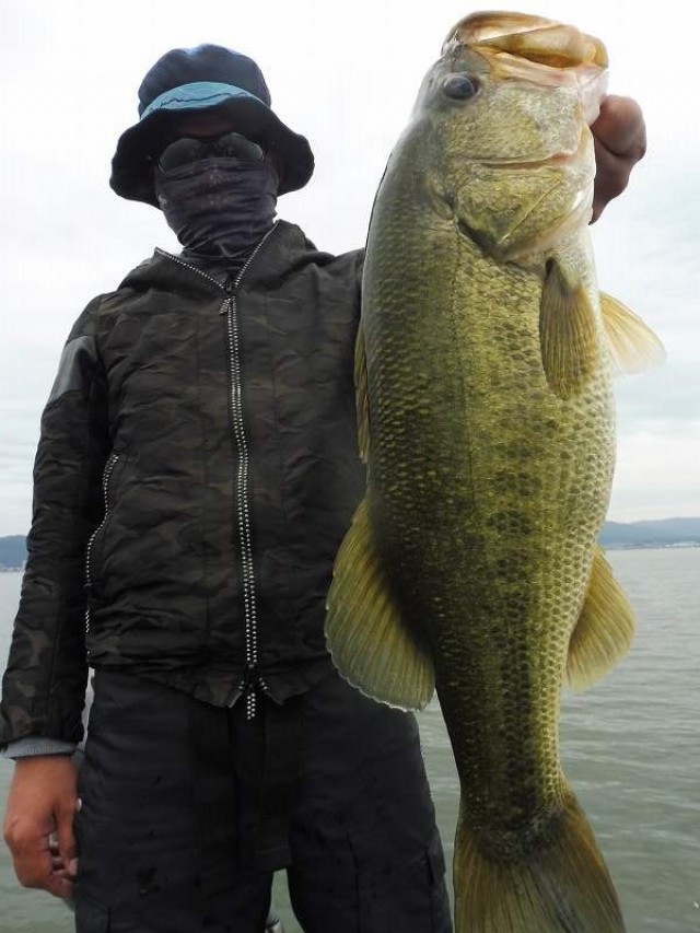 truth okuma ブログ写真 2016/10/11