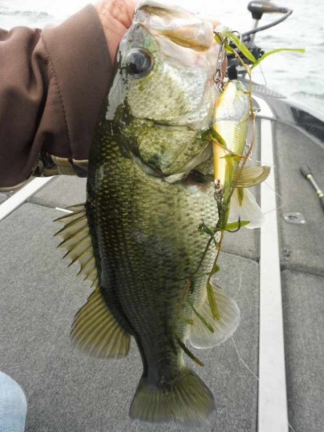 truth okuma ブログ写真 2016/10/23