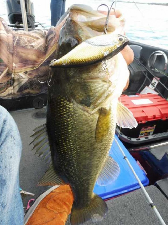 truth okuma ブログ写真 2016/10/23