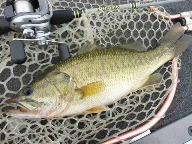 truth okuma ブログ写真 2016/10/23