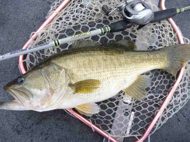 truth okuma ブログ写真 2016/10/23