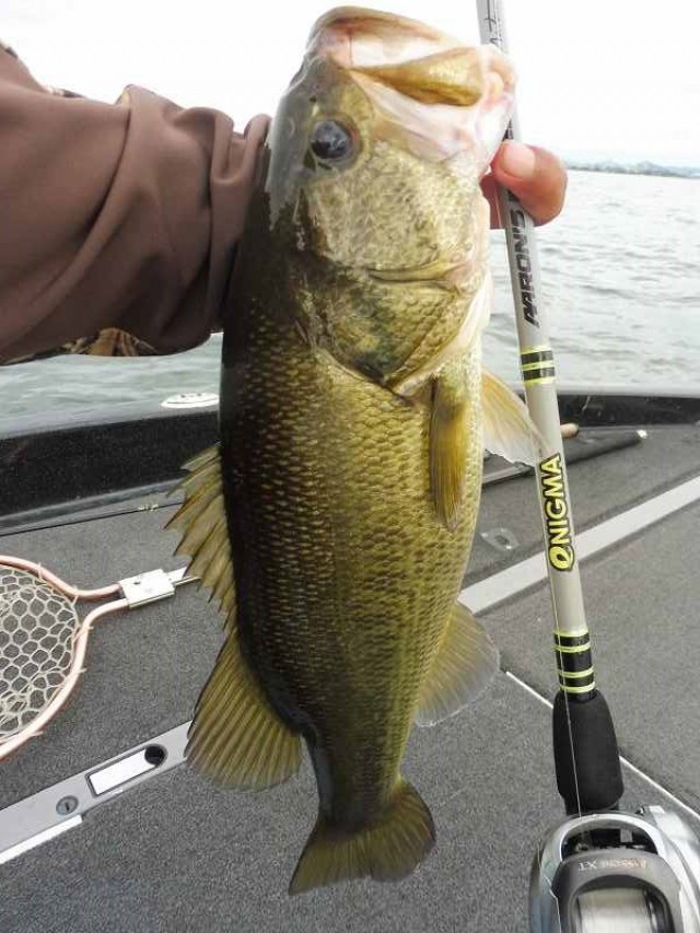 truth okuma ブログ写真 2016/10/23