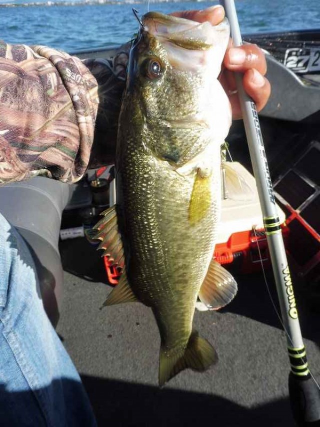 truth okuma ブログ写真 2016/10/24