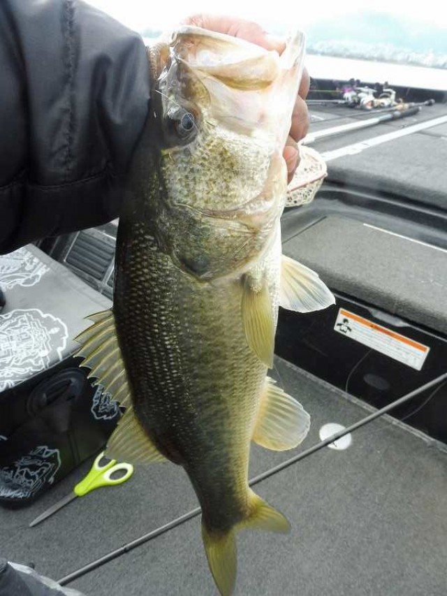 truth okuma ブログ写真 2016/11/04