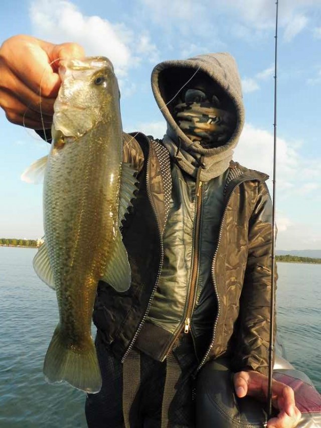 truth okuma ブログ写真 2016/11/04