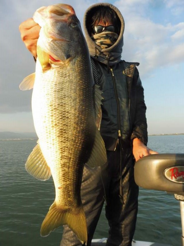 truth okuma ブログ写真 2016/11/04