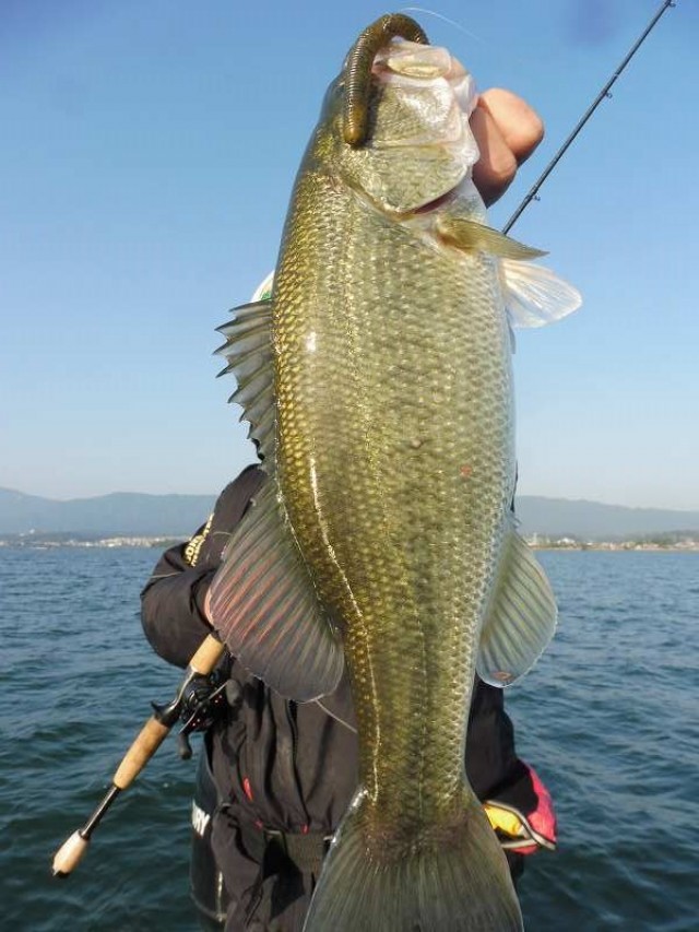 truth okuma ブログ写真 2016/11/07