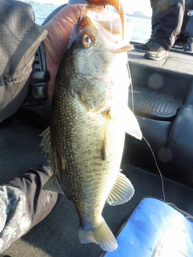 truth okuma ブログ写真 2016/11/07