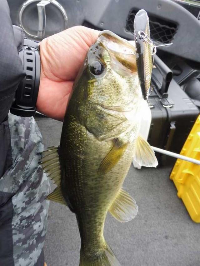 truth okuma ブログ写真 2016/11/08