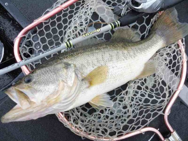 truth okuma ブログ写真 2016/11/08