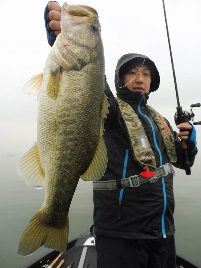 truth okuma ブログ写真 2016/11/08