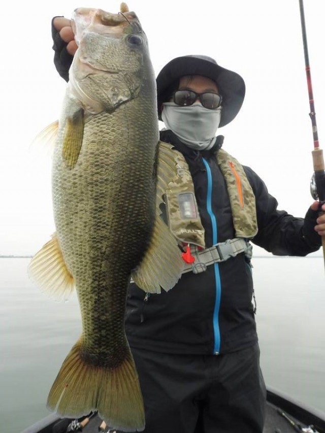 truth okuma ブログ写真 2016/11/08