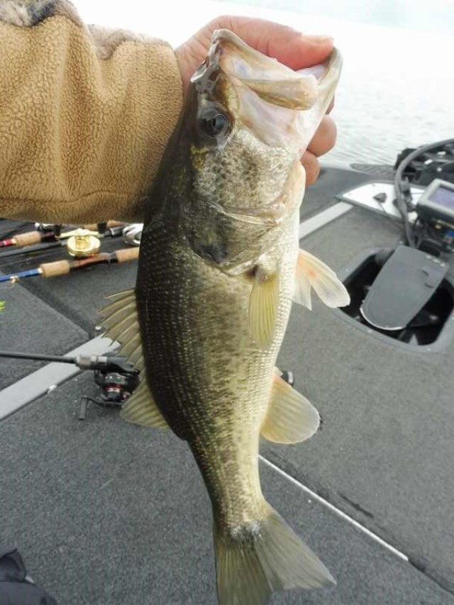 truth okuma ブログ写真 2016/11/08