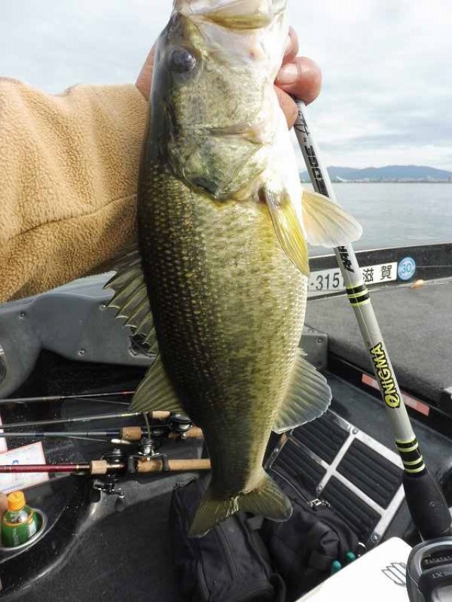 truth okuma ブログ写真 2016/11/10