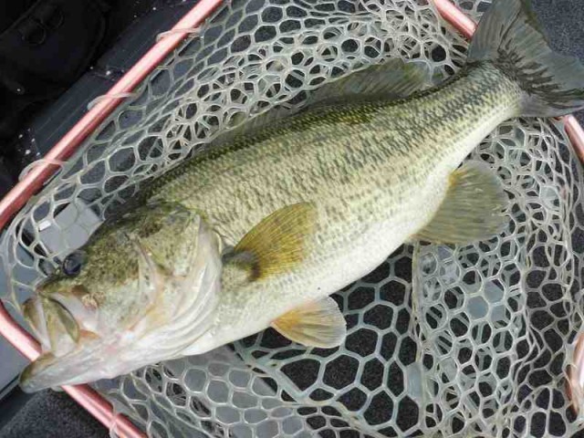 truth okuma ブログ写真 2016/11/10