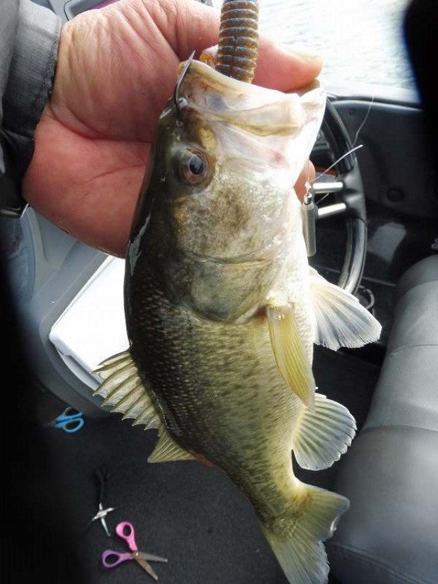 truth okuma ブログ写真 2016/11/10