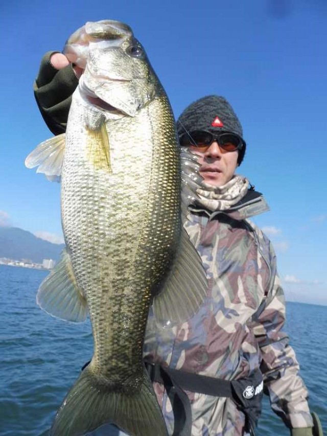 truth okuma ブログ写真 2016/11/11