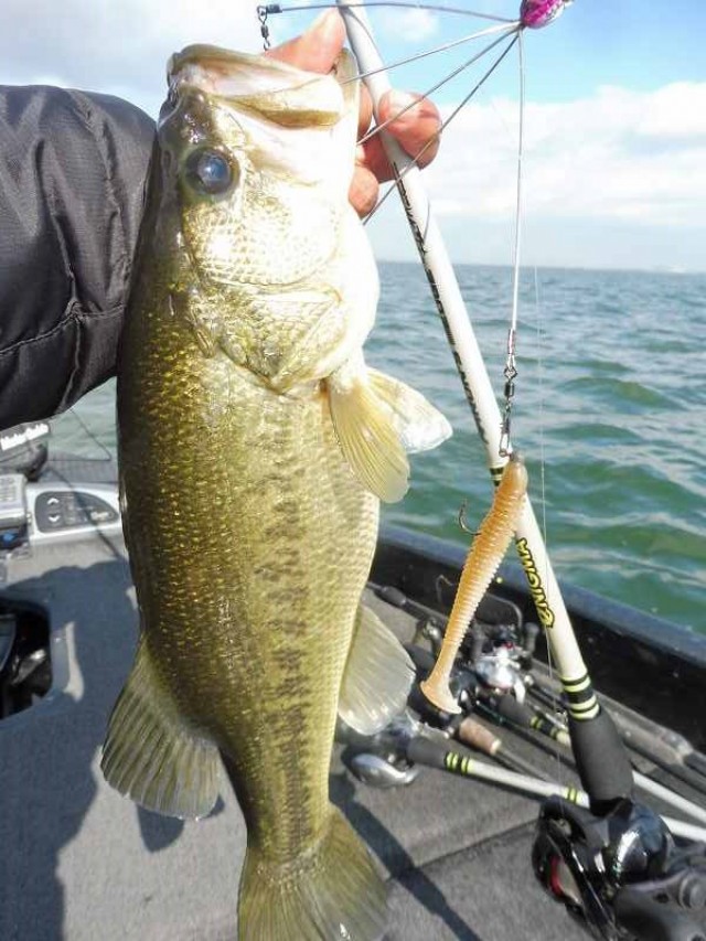 truth okuma ブログ写真 2016/11/11