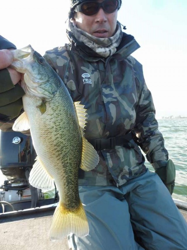 truth okuma ブログ写真 2016/11/11