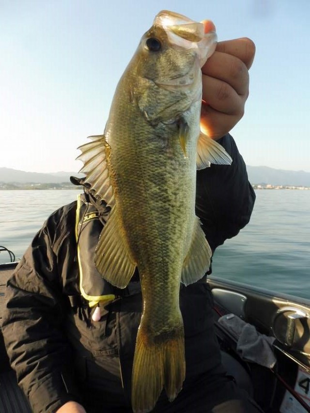 truth okuma ブログ写真 2016/11/12