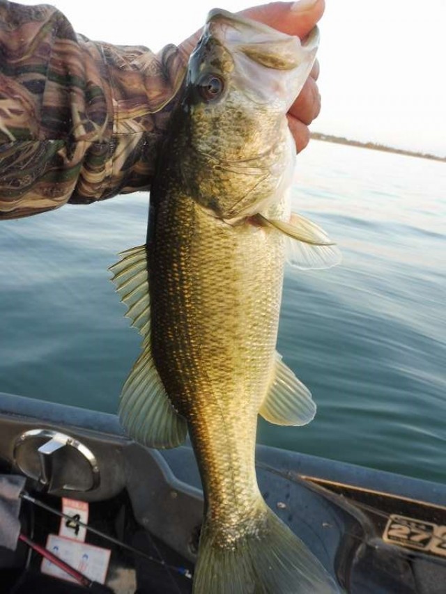 truth okuma ブログ写真 2016/11/12