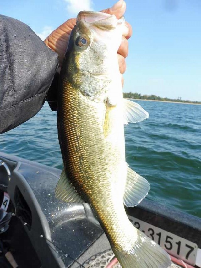 truth okuma ブログ写真 2016/11/12