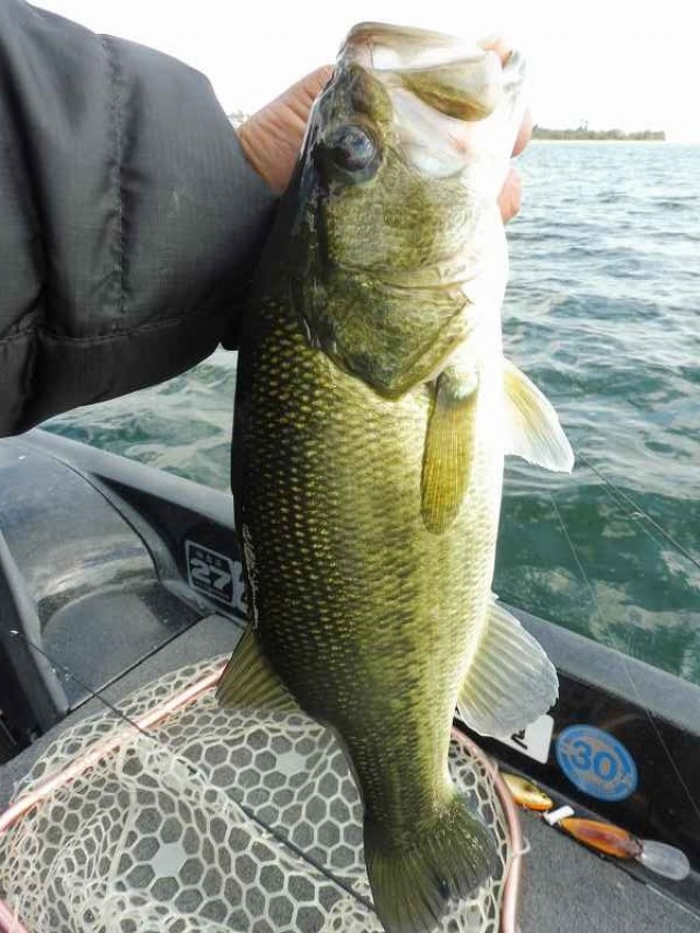 truth okuma ブログ写真 2016/11/12