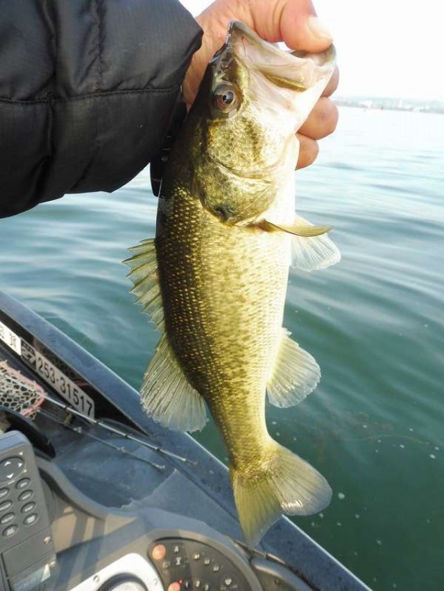 truth okuma ブログ写真 2016/11/13