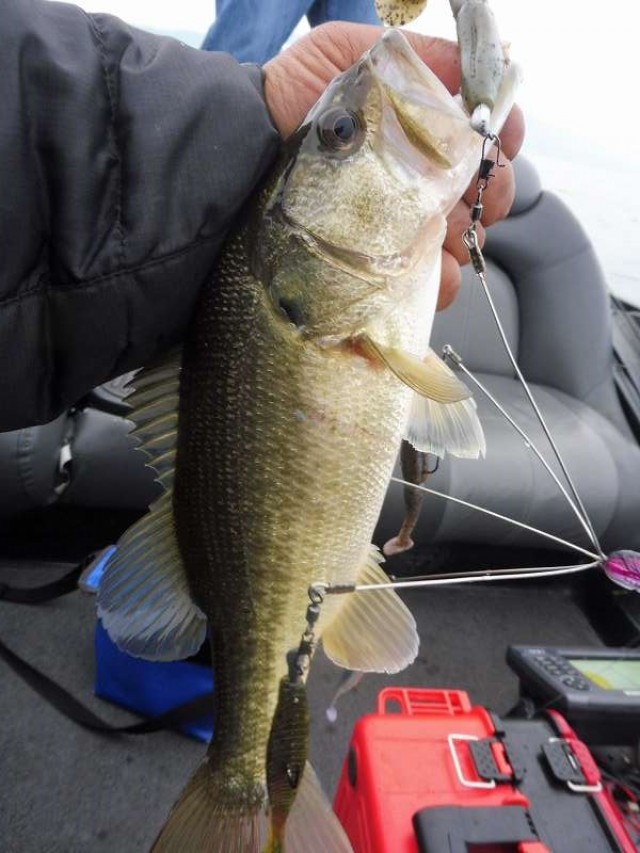 truth okuma ブログ写真 2016/11/13