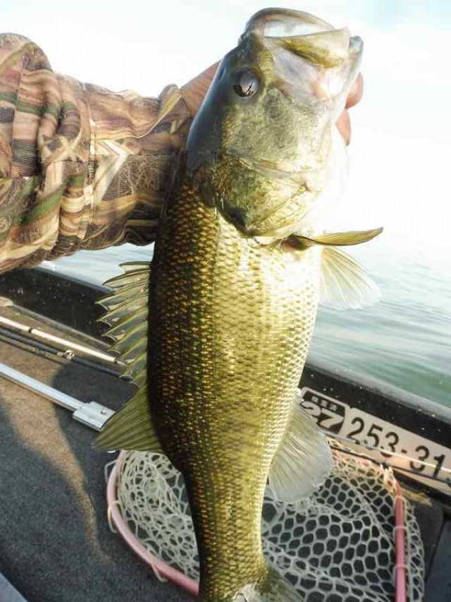 truth okuma ブログ写真 2016/11/13