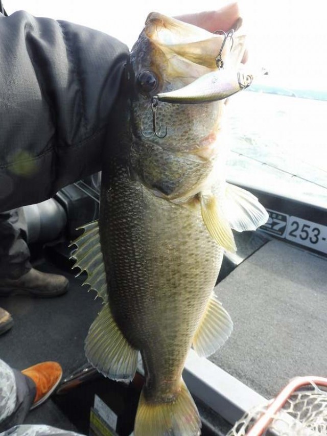 truth okuma ブログ写真 2016/11/23