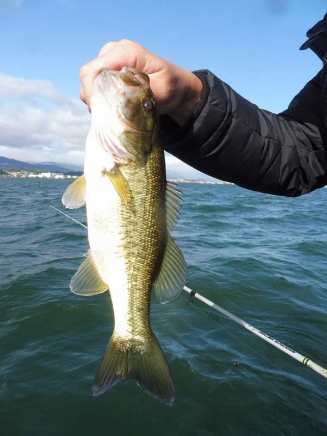 truth okuma ブログ写真 2016/11/23