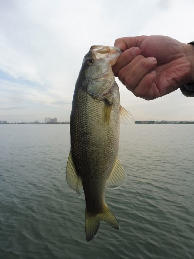 truth okuma ブログ写真 2016/11/25