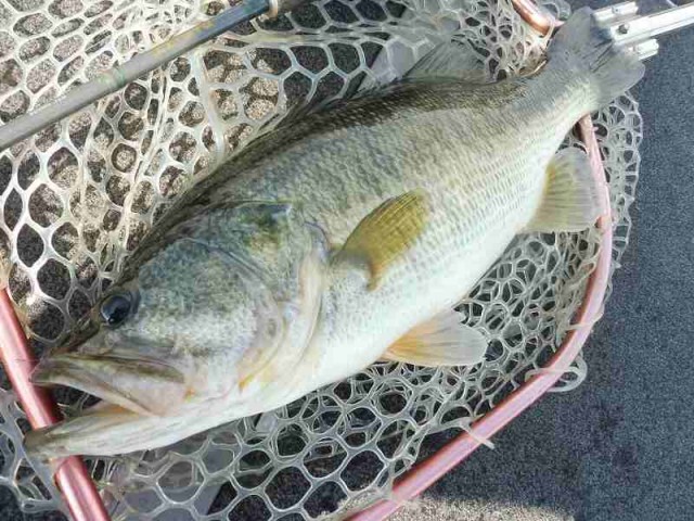 truth okuma ブログ写真 2016/11/25