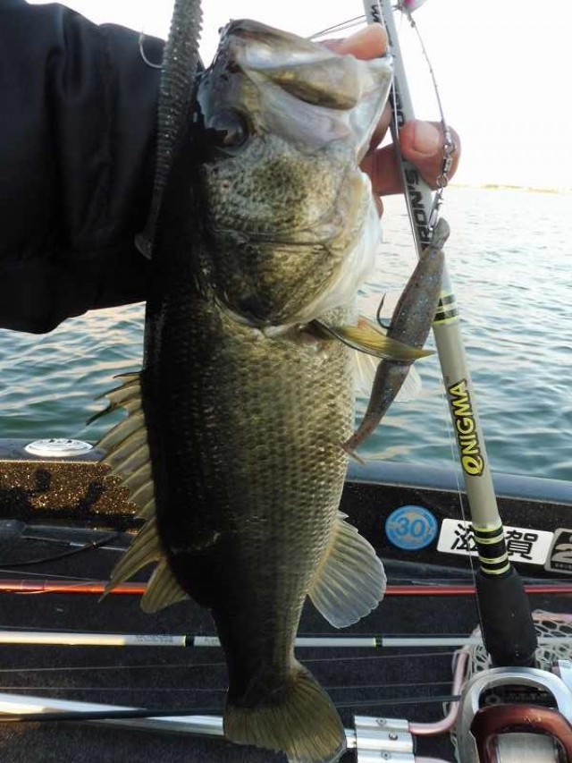 truth okuma ブログ写真 2016/11/25