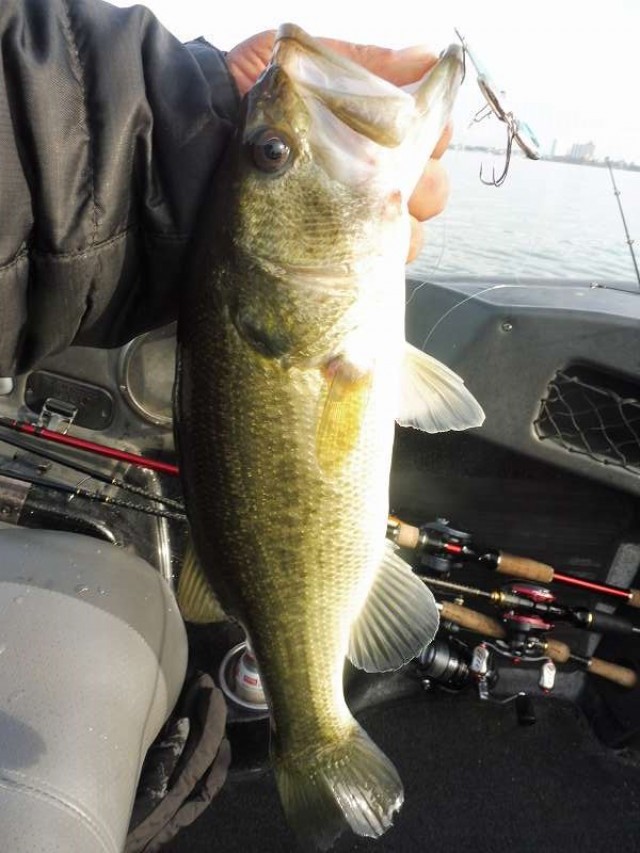 truth okuma ブログ写真 2016/11/25