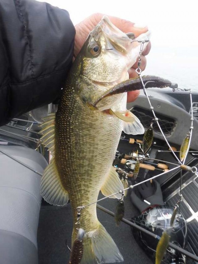 truth okuma ブログ写真 2016/12/01