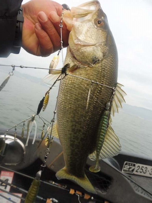 truth okuma ブログ写真 2016/12/01