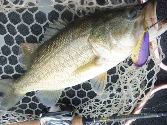 truth okuma ブログ写真 2016/12/01