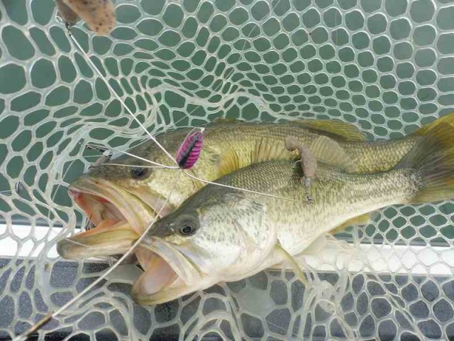 truth okuma ブログ写真 2016/12/01