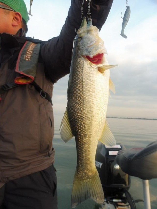 truth okuma ブログ写真 2016/12/04