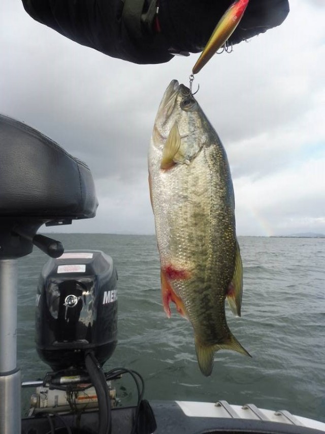 truth okuma ブログ写真 2016/12/06