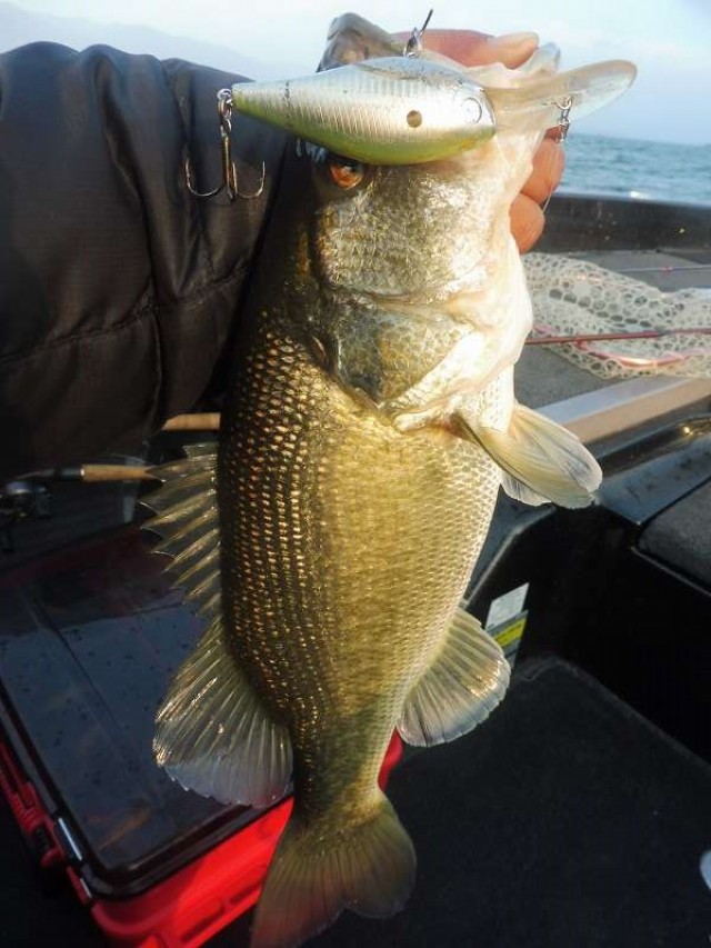 truth okuma ブログ写真 2016/12/06