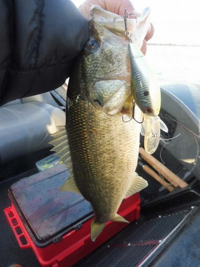 truth okuma ブログ写真 2016/12/06