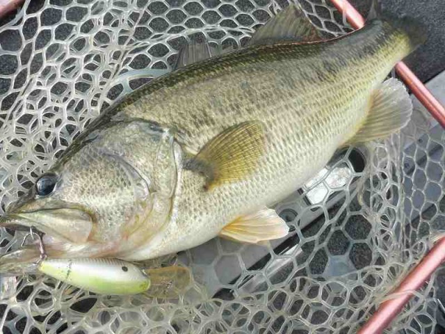 truth okuma ブログ写真 2016/12/06